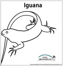 Iguana.jpg