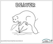 beaver_color.jpg