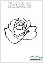 rose-coloring2.jpg