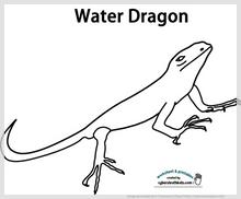 water_dragon.jpg