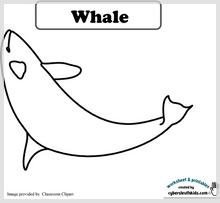 whale_2.jpg
