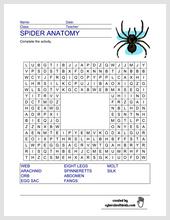 spider_anatomy_WS.jpg