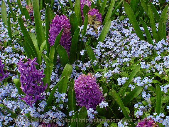 DSC03069Aflowers2