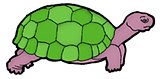 fsl0829color5reptiles
