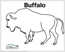 buffalo_printable.jpg