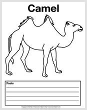 camel_facts_2.jpg