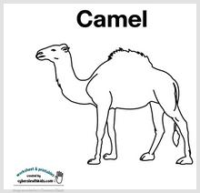 camel_printable.jpg