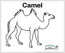 camel_printable_2.jpg