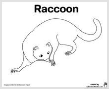raccoon_printable.jpg